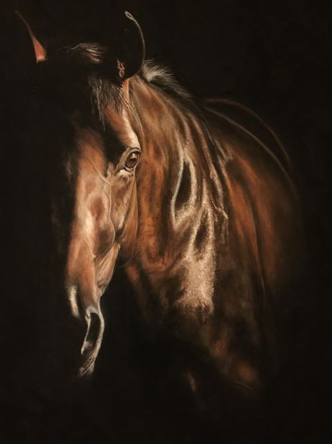 Art By Naomi Hawkins - Equine